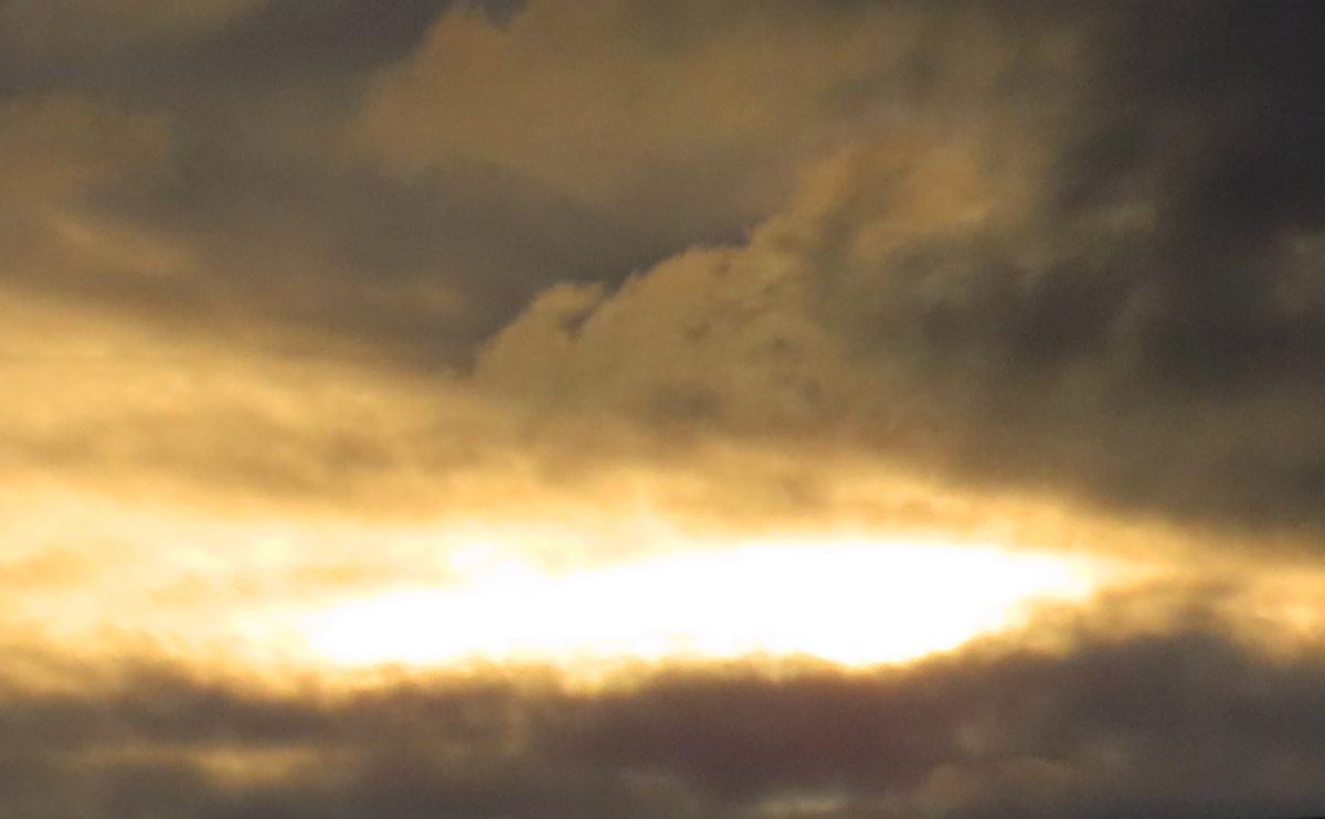 Kevin 🇨🇦📸 tweet media