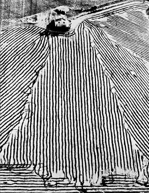 Mario Giacomelli #photography from the series Awareness of Nature