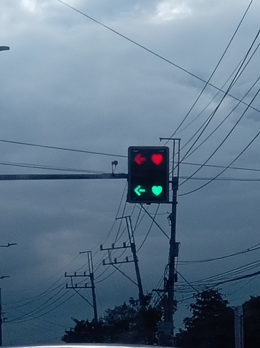 Derpy_Xenvi's tweet photo. I can not believe I took this amazing picture, while driving https://t.co/0PvHVhw4af
