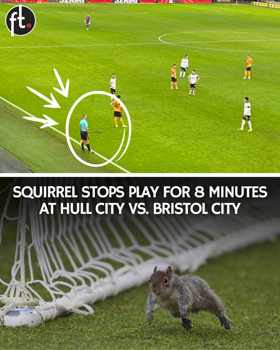 Football Tweet ⚽ tweet media