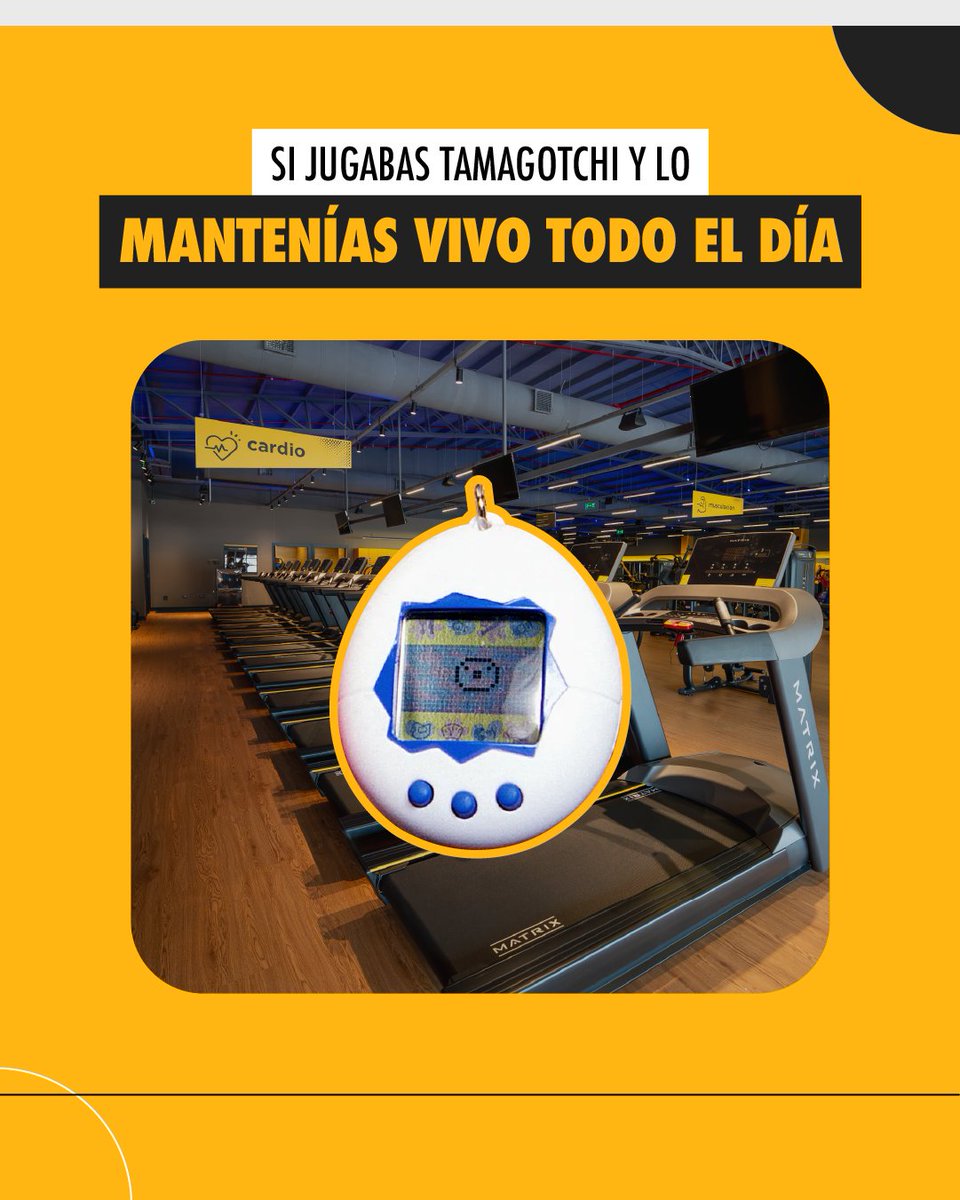 SmartFitPy tweet media
