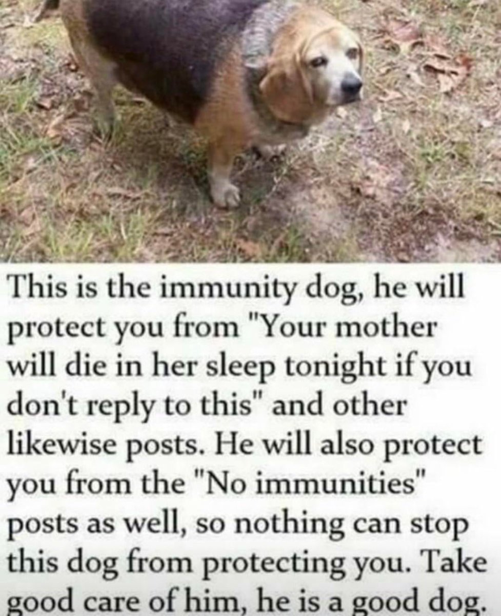 taltigolt tweet media