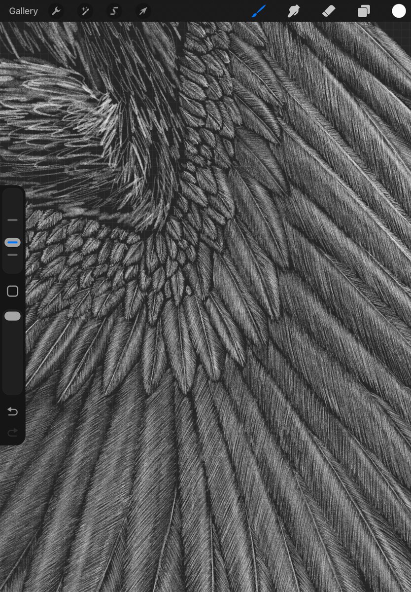 Me: “Boy I wish I was faster at finishing my drawings” 

Also me: *draws individual feather barbs*