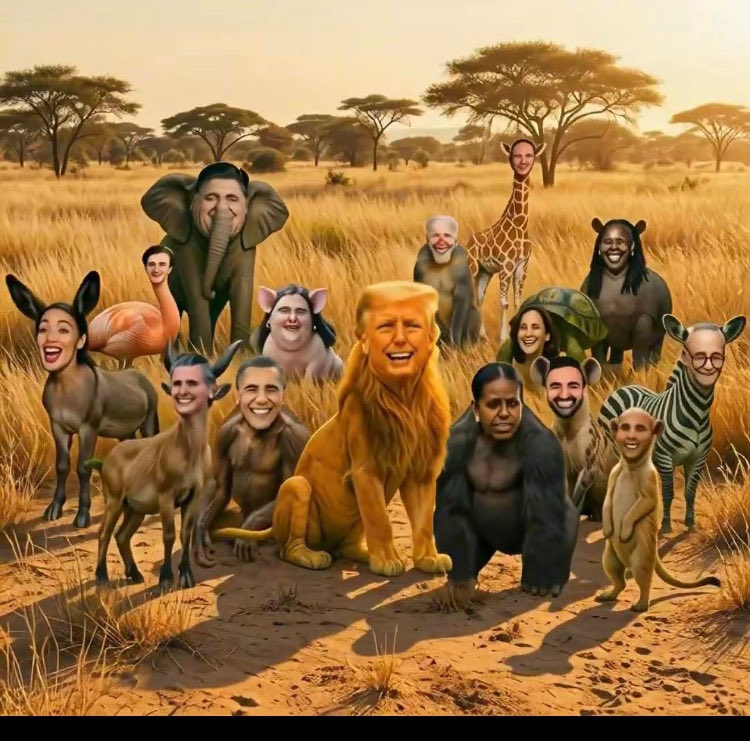 RepPage12's tweet photo. @stephenasmith Strange that you only picked out the Obama’s in this video! https://t.co/K2o0afpKS8