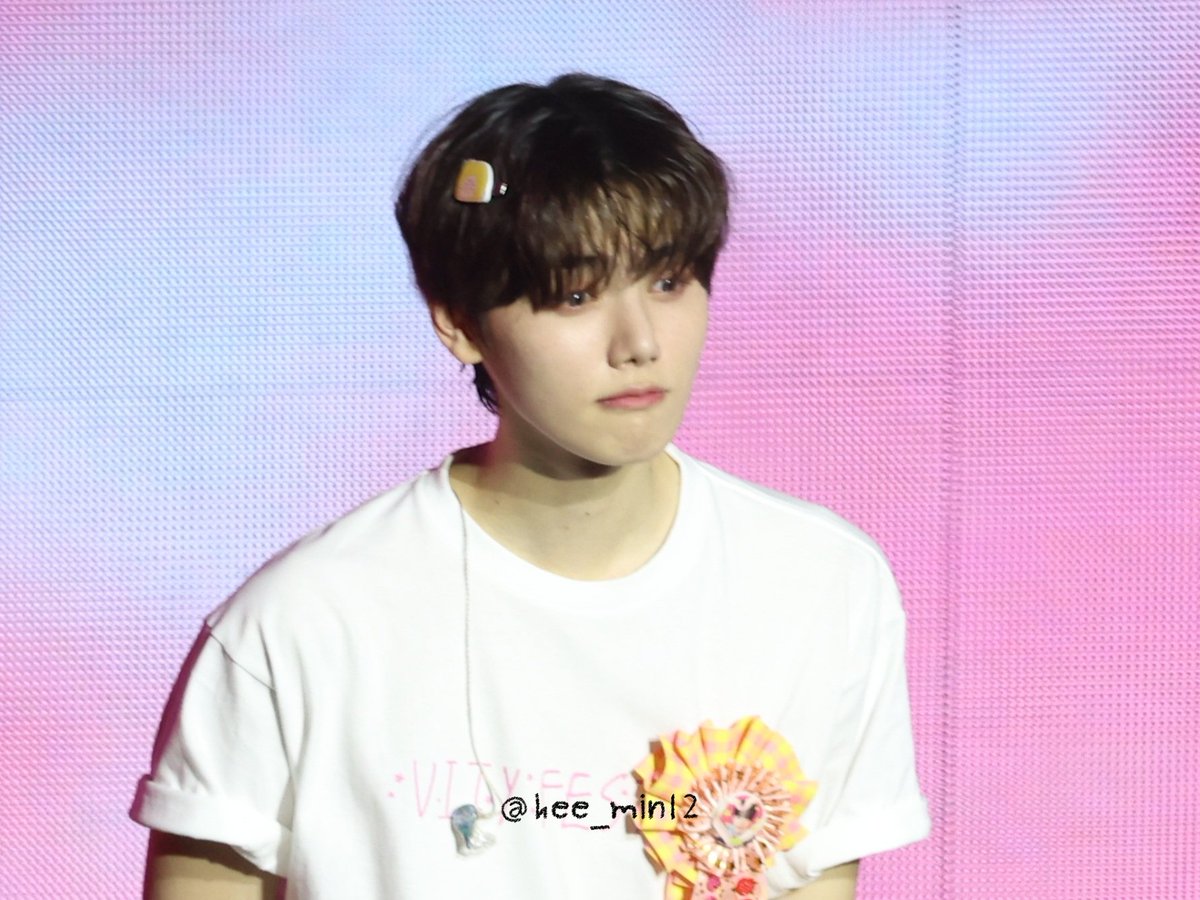 넘넘 사랑스러운 말티즈🥺