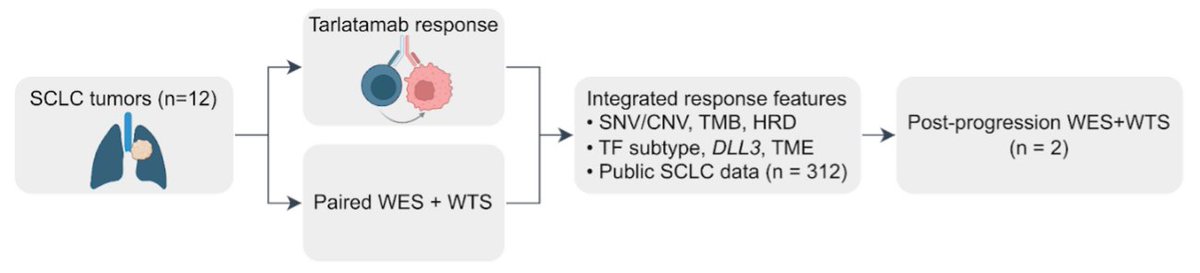 Drew T Bergman, MD tweet media
