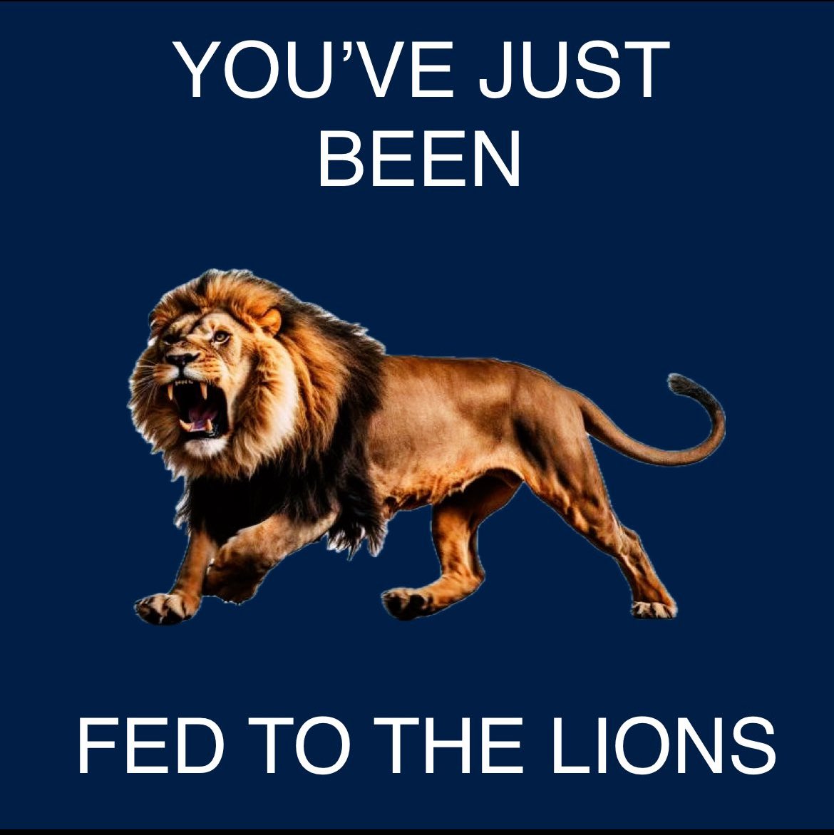 ʙᴜʟʟ ᴛᴇʀʀɪᴇʀ ᴇɴᴊᴏʏᴇʀ tweet media