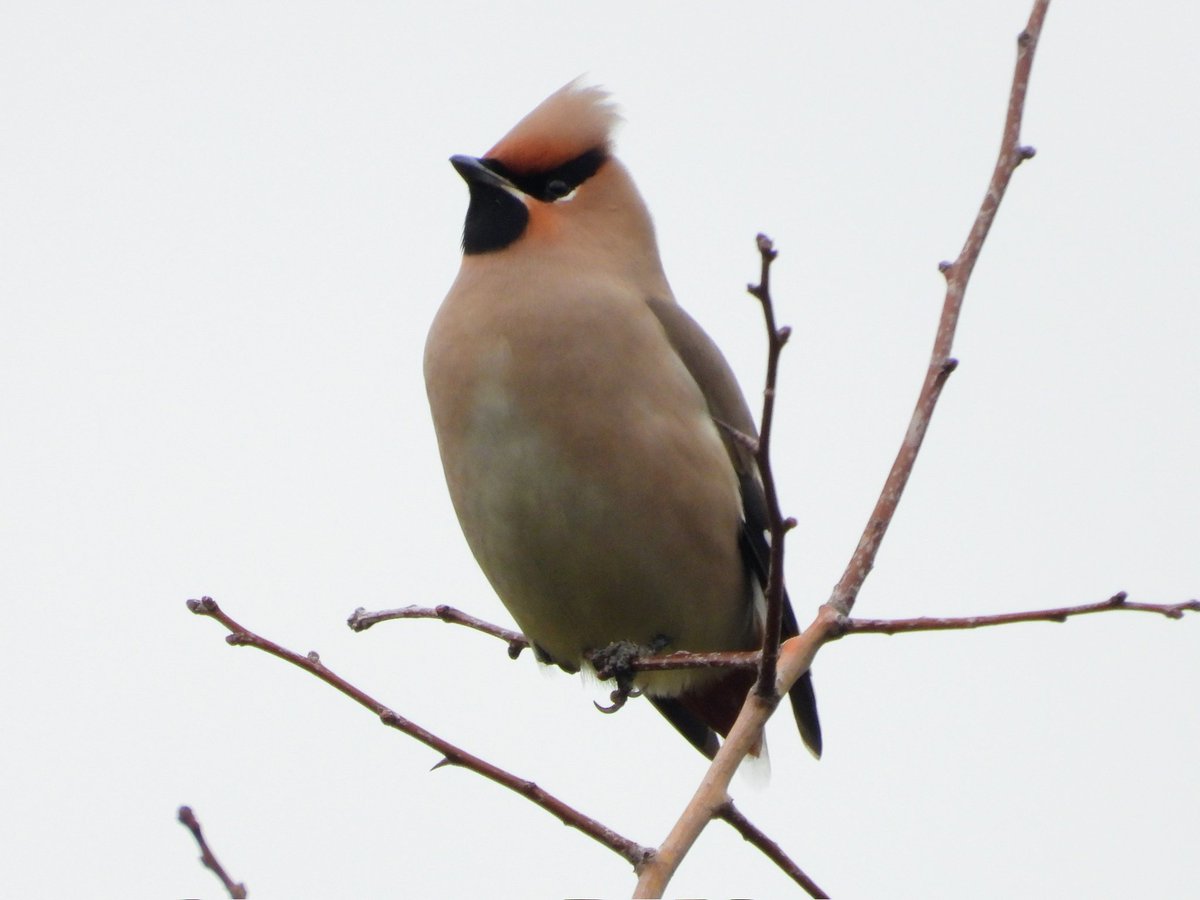 Dave Eddy 🏴🇬🇧 tweet media