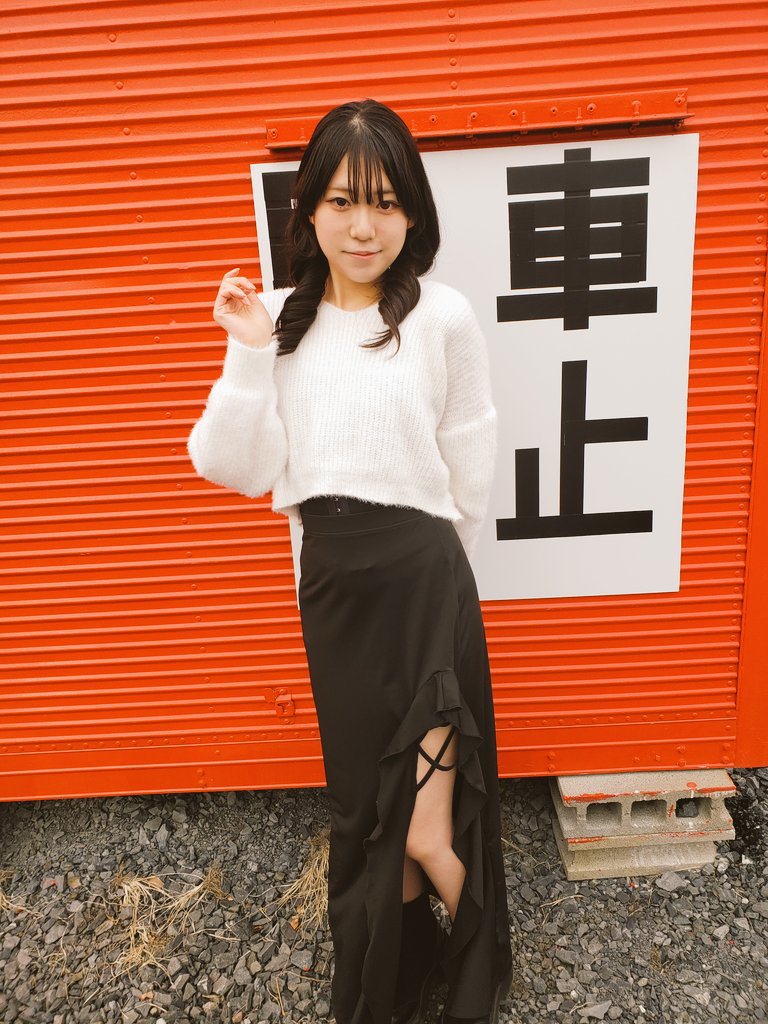 ふうちゃん撮影📸