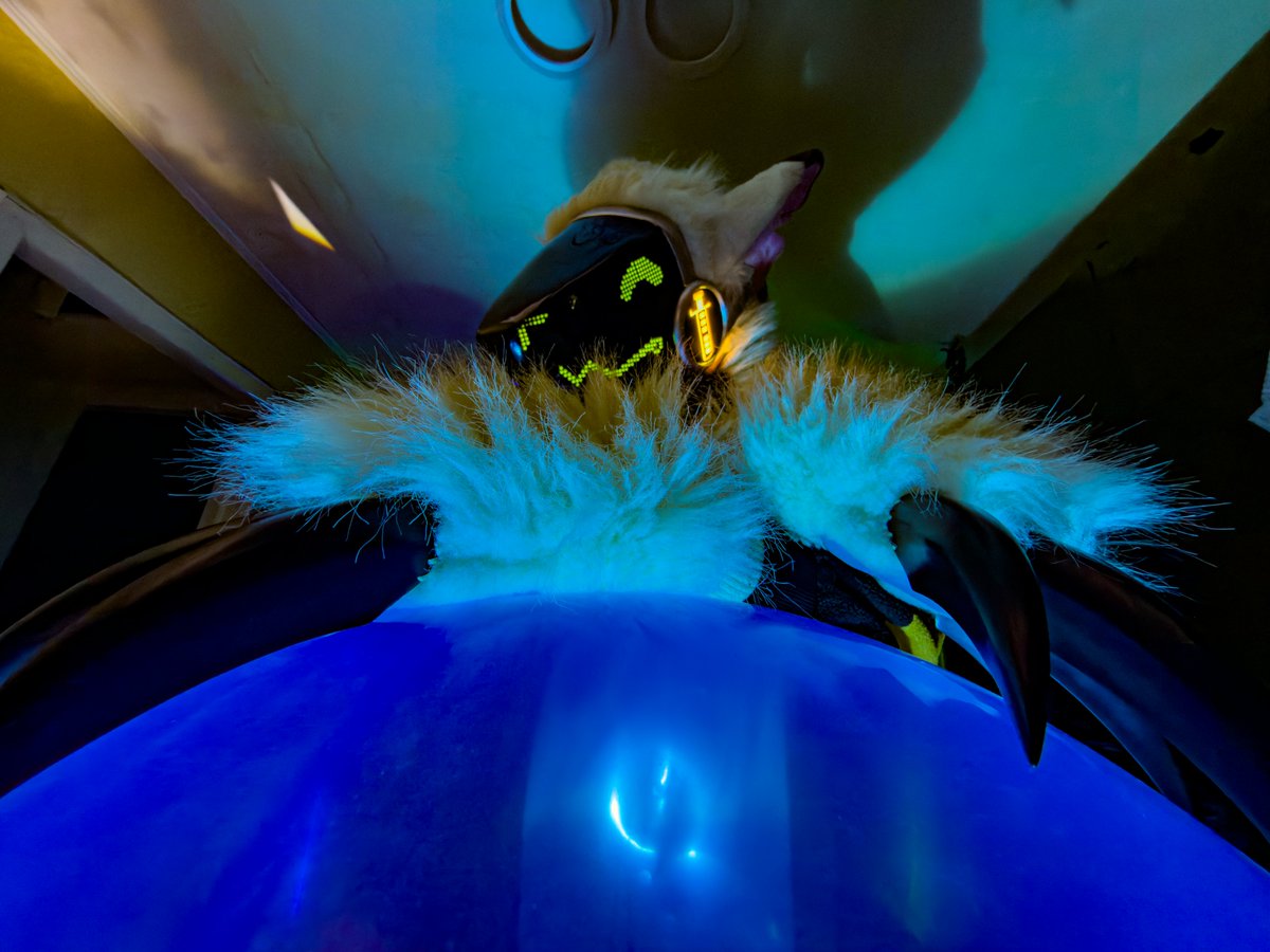 DUni protogen tweet media