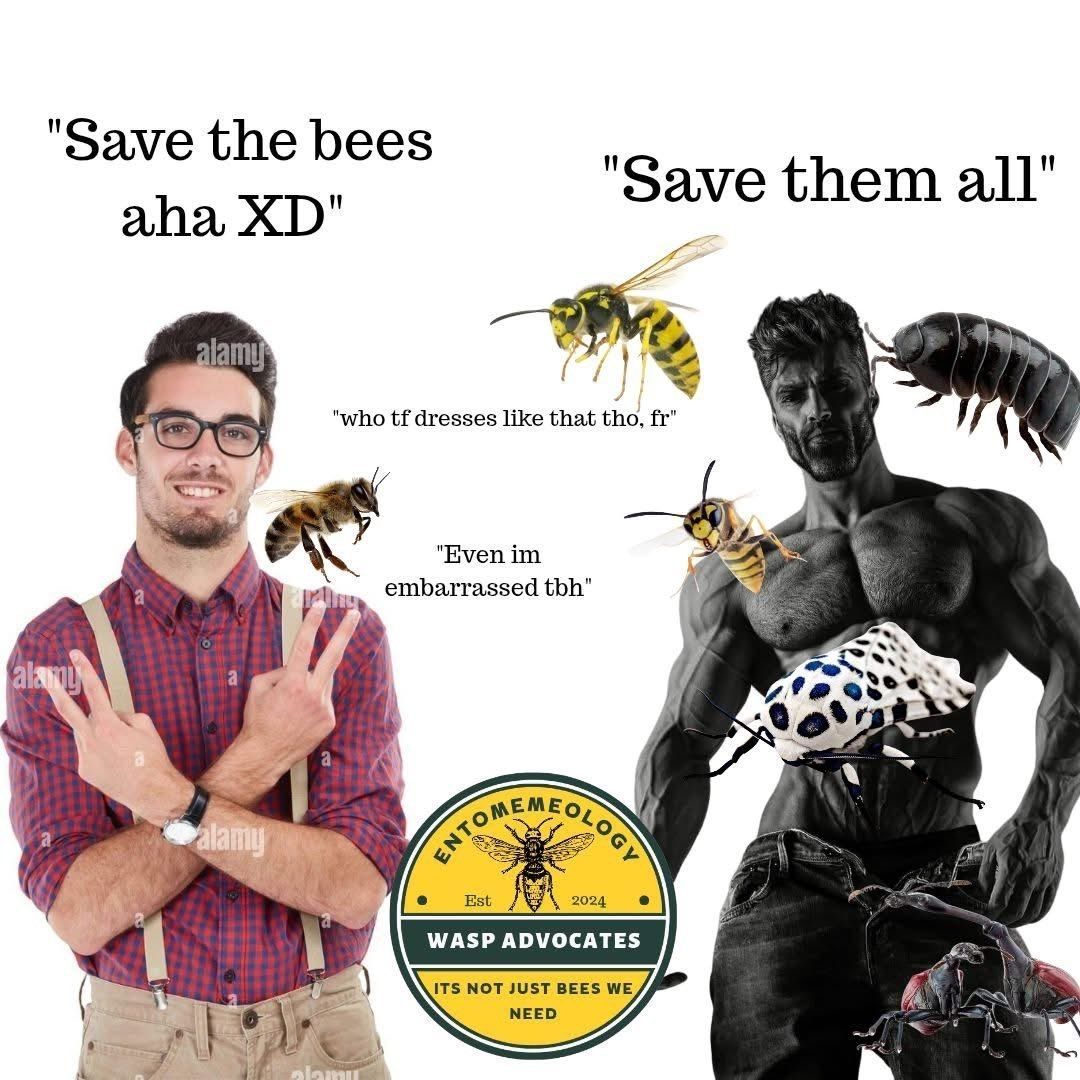 dinosaurs1969's tweet image. 