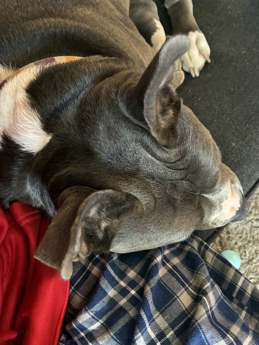 Mia Smoak tweet media