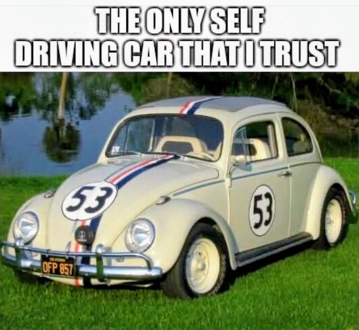 Evee Talk 💚 tweet media