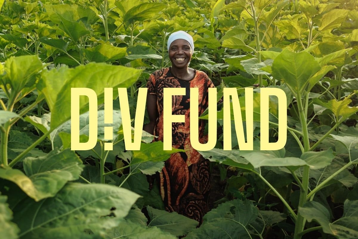 Alexander Berger tweet media