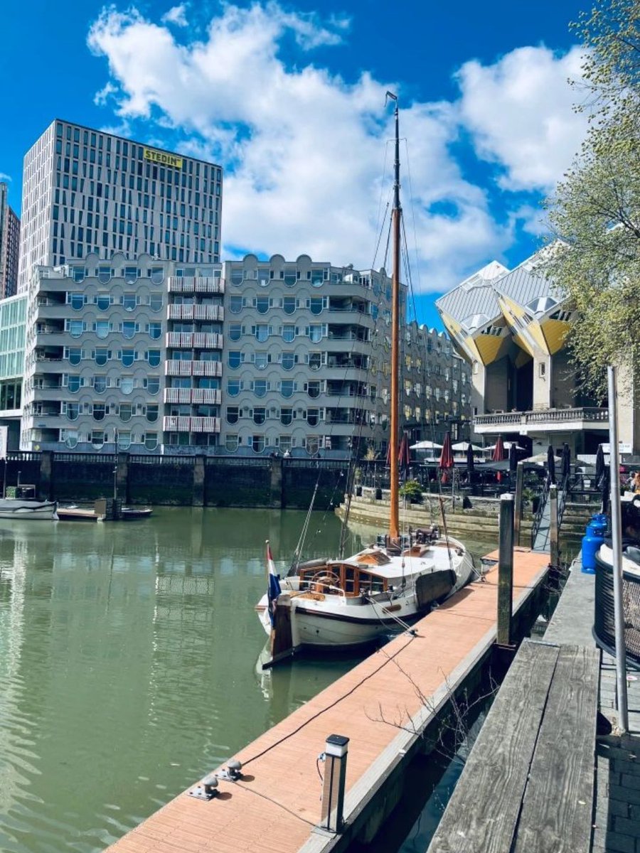 MozartCultures tweet media