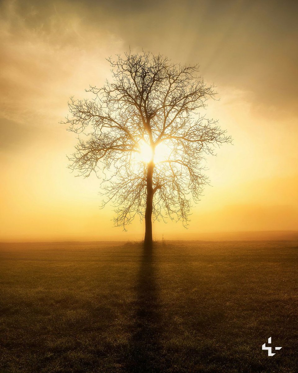 Unsplash tweet media