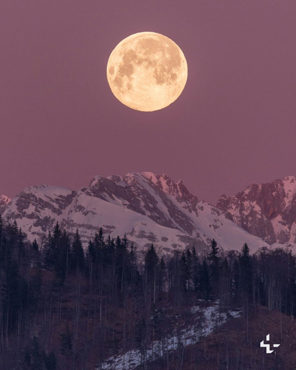 Unsplash tweet media