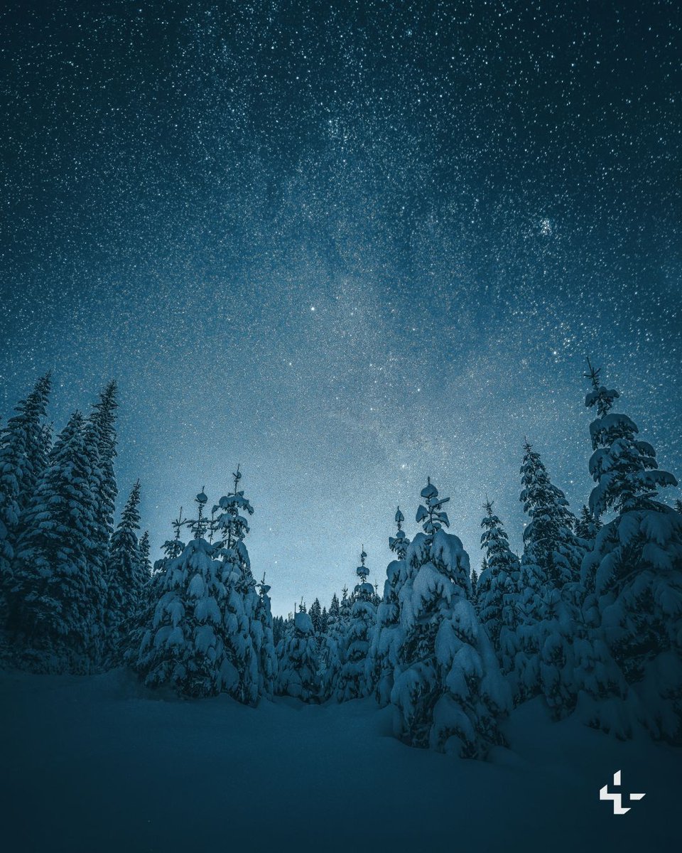 Unsplash tweet media