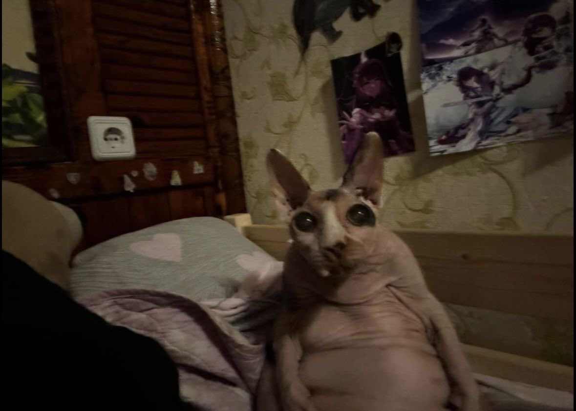 what the fuck. what the fuck are you. no. get out of my house im not doing this.