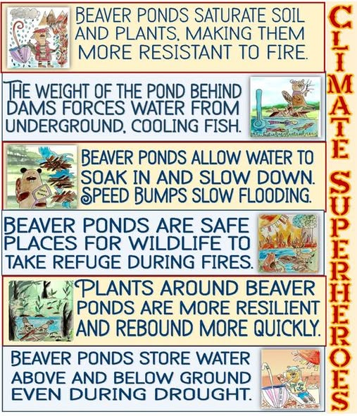 Carola Blaney🍃💚🍃 (@blaneycarola) on Twitter photo 