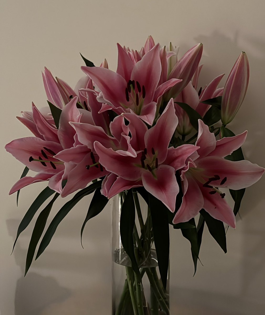 Day 1                                      1 week