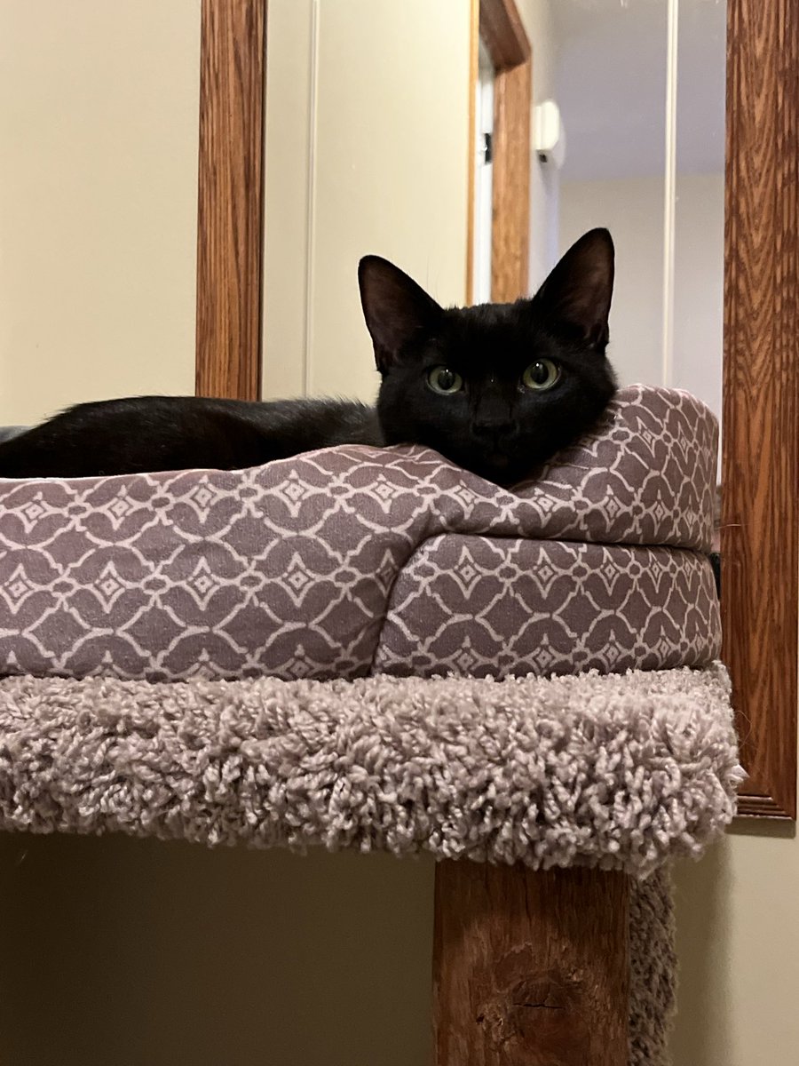 Sirius💫 tweet media