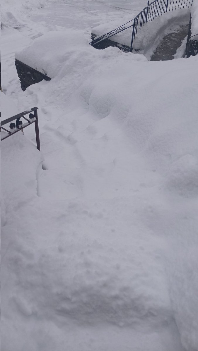 Yup, New England!