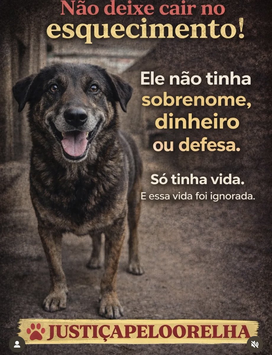 MarcoValverde72's tweet photo. Falam da “justiça” de SC, mas no caso do Orelha é escárnio.
“Bandido bom é bandido…” — só quando é pobre.
Quando é playboy, vira “menino”, “erro”, “futuro promissor”.
No Brasil, o crime não choca.
O CEP é que decide.
#FEDERALIZAÇÃODOCASOORELHA 
#CPIDOORELHA 
#JustiçaPorOrelha https://t.co/TiwOznzsGT
