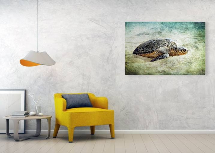 Belinda Greb tweet media