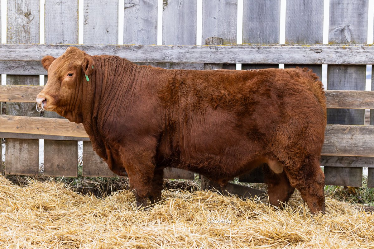 Justin Burgess tweet media