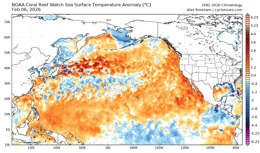 Alex Boreham tweet media