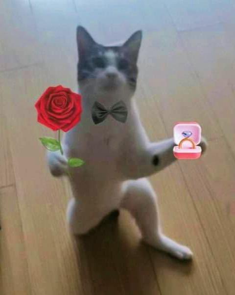 gumaruler's tweet image. happy poby day i slept the whole day wtf