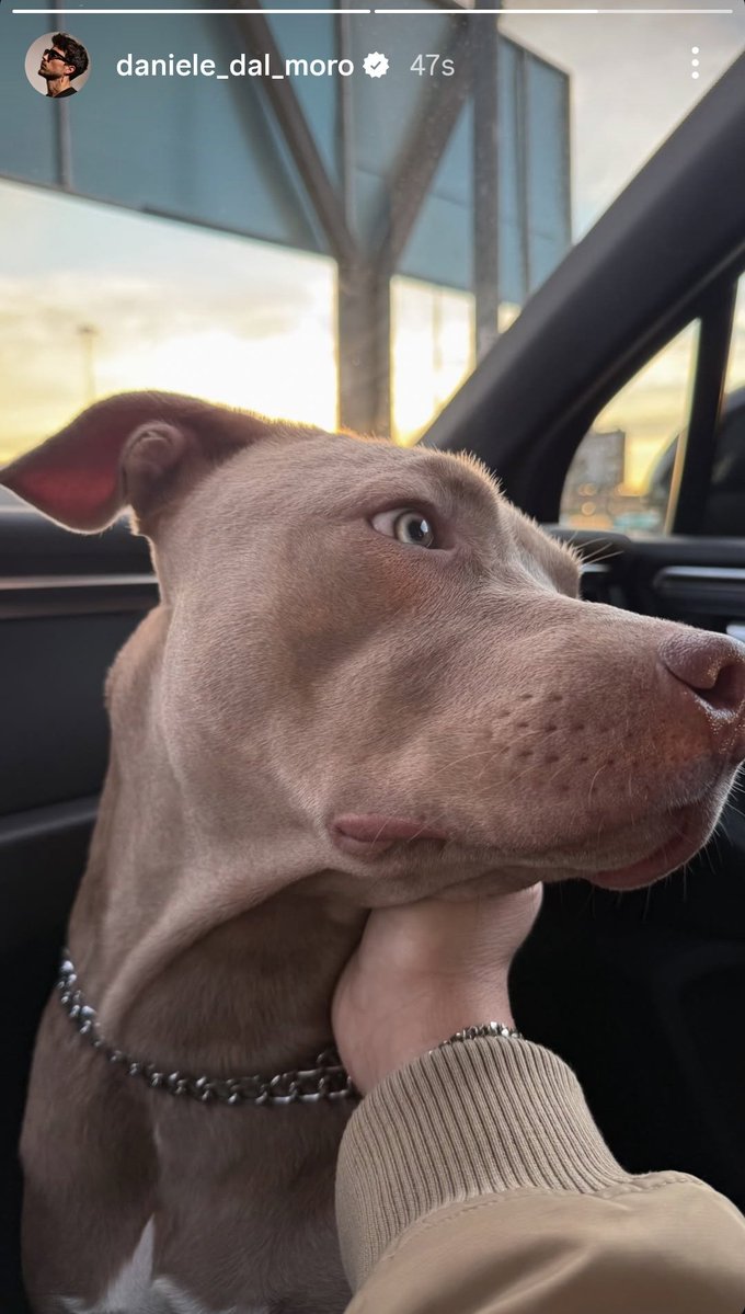 il tuo piccolino è uno spettacolo Dani 😍🥰
#ddm