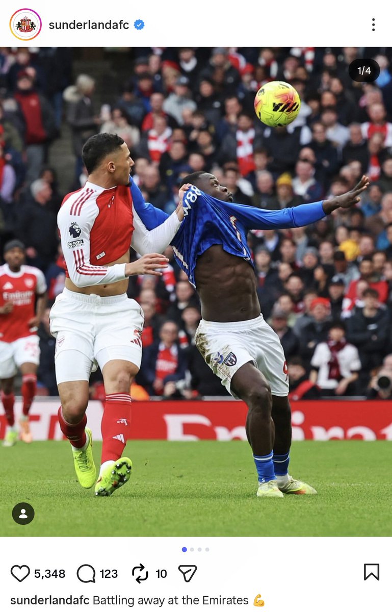 Andrew Purcell tweet media