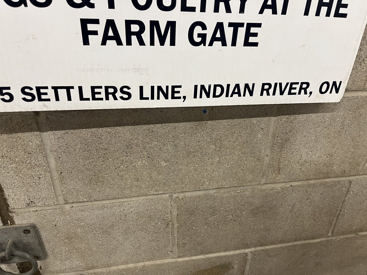 Drew Hayden Taylor tweet media