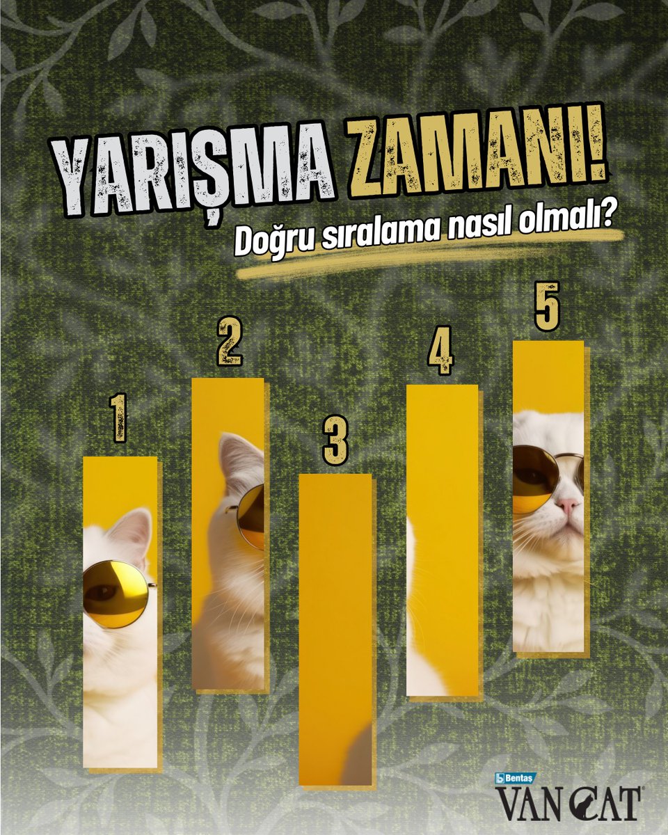 VanCat Türkiye tweet media