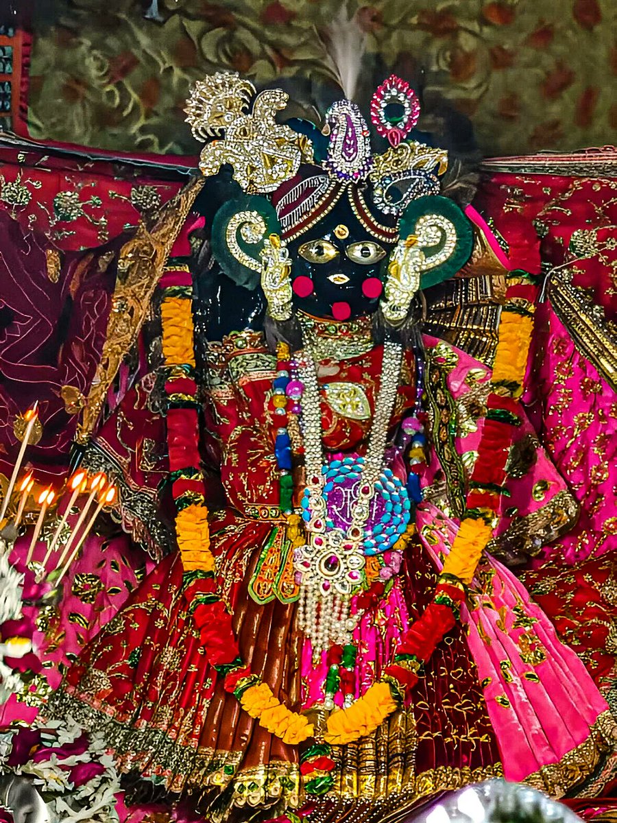 Radhika Ras 🪷 tweet media