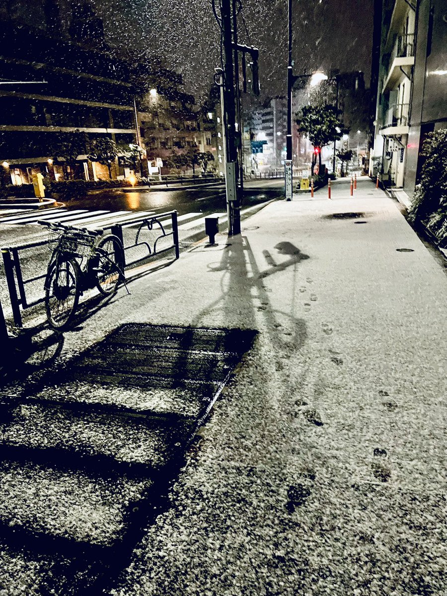 knznikov's tweet photo. 雪だ〜テンション👆 https://t.co/J3OGL7E87M