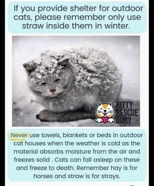 Ellie CG (@elliecg11) on Twitter photo 