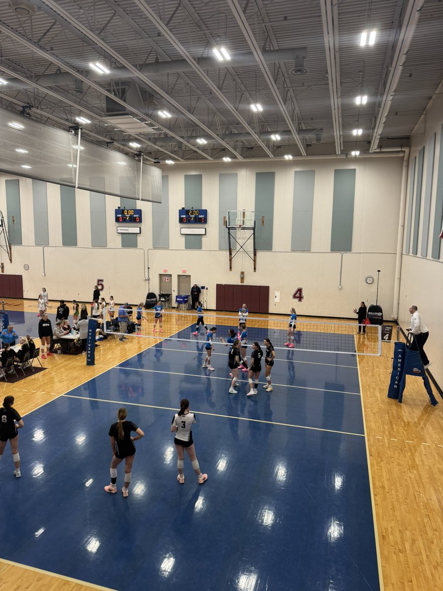 Charlie Shields tweet media