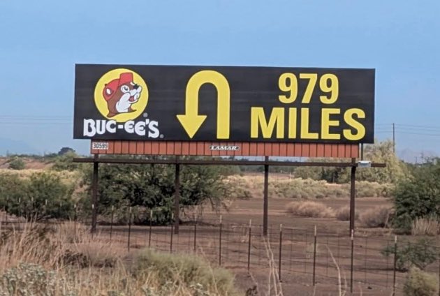 Tembo & Leo tweet media