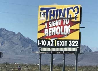 Tembo & Leo tweet media