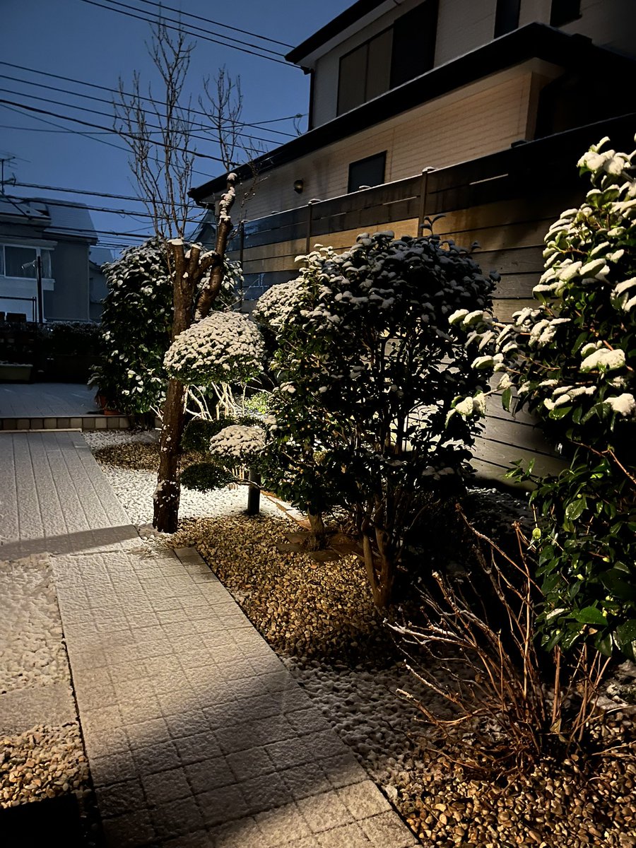 JFXkobayashi's tweet photo. 庭がうっすらと雪化粧。帰って来た10時ではみぞれから雪になって、一時止んでいたけど、冷えるなと思って玄関開けたらマジで雪が降ってました。
明日8:30に床屋さん予約したけど、ノーマルタイヤだから、こりゃ歩きだなぁ。寒そう。 https://t.co/zrhLaQRrMI
