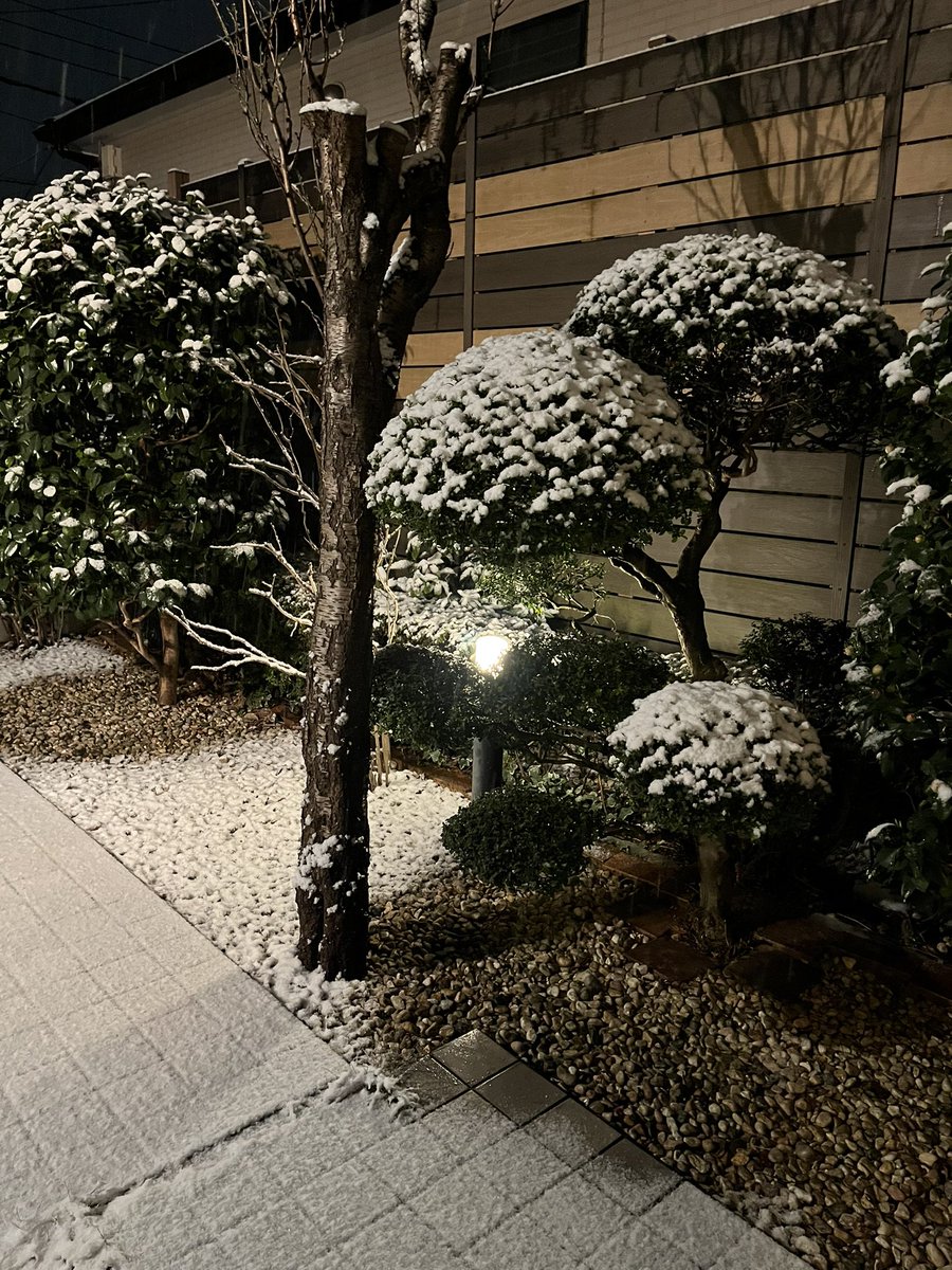 JFXkobayashi's tweet photo. 庭がうっすらと雪化粧。帰って来た10時ではみぞれから雪になって、一時止んでいたけど、冷えるなと思って玄関開けたらマジで雪が降ってました。
明日8:30に床屋さん予約したけど、ノーマルタイヤだから、こりゃ歩きだなぁ。寒そう。 https://t.co/zrhLaQRrMI