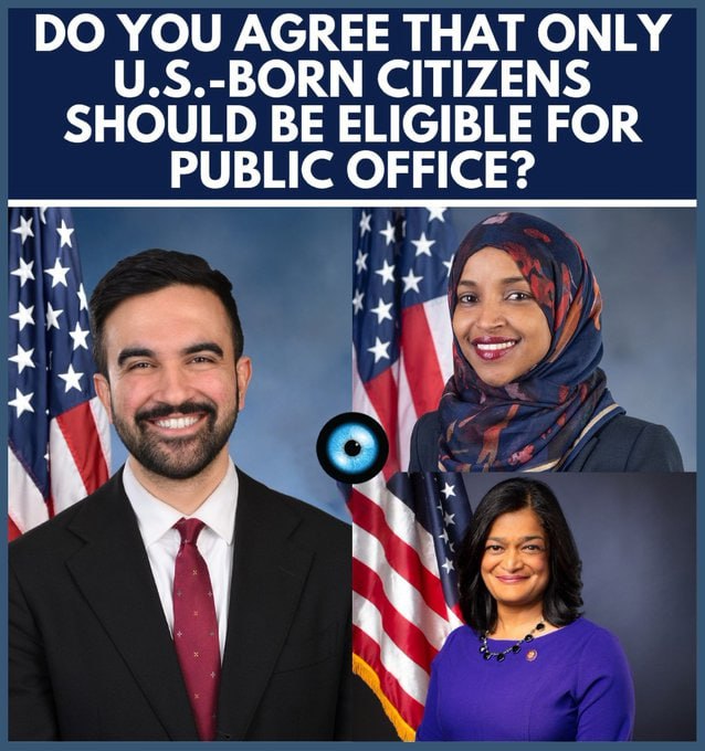 BREAKING : DO YOU AGREE THAT ONLY U.S.-BORN CITIZENS SHOULD BE ELIGIBLE FOR PUBLIC OFFICE?

YES OR NO? 👇