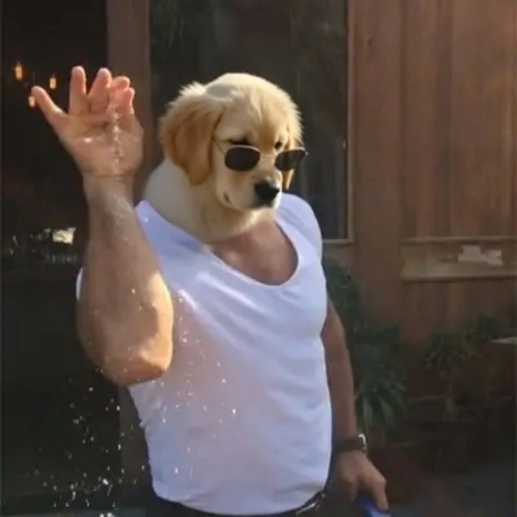 🥬kæl tweet media