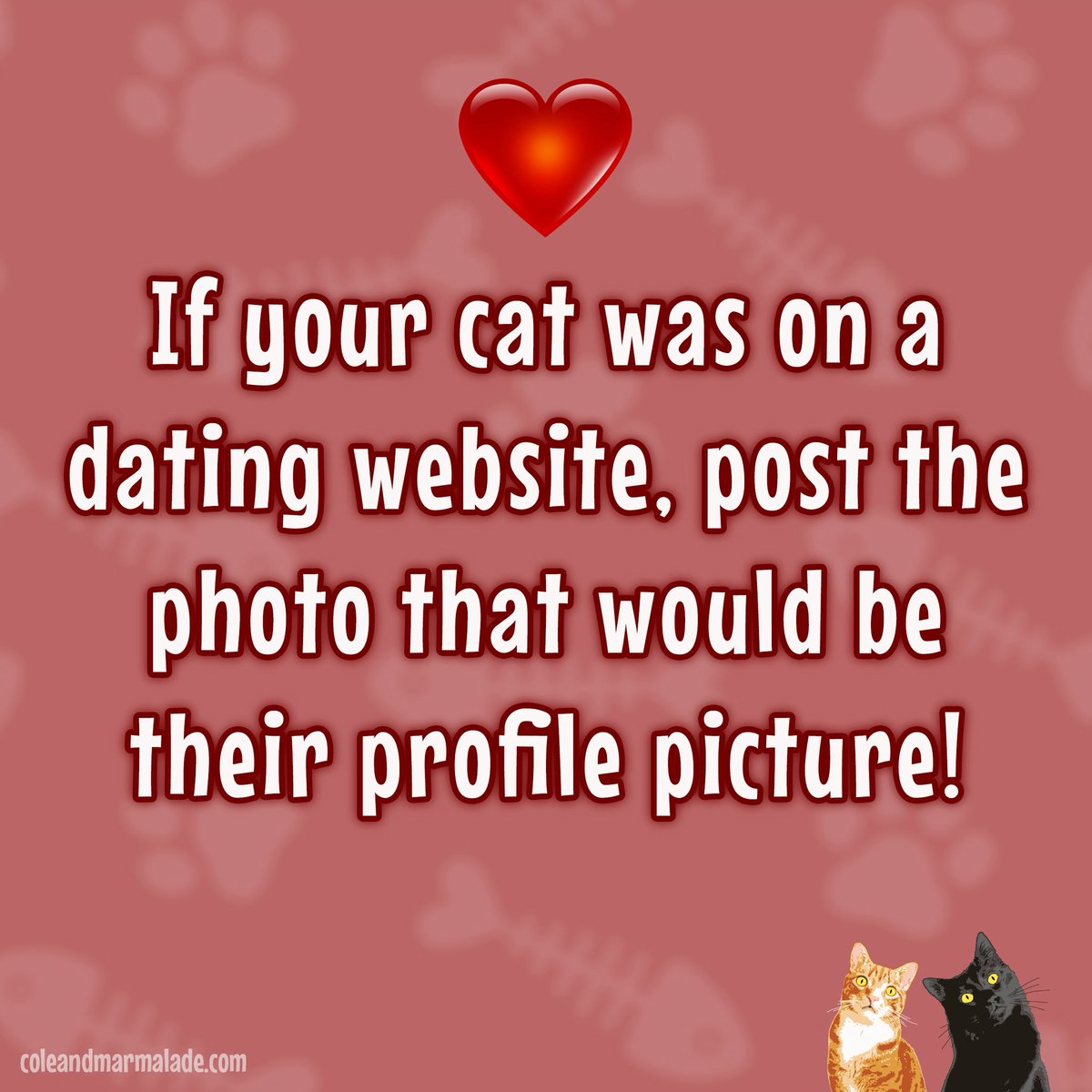 Cole & Marmalade tweet media