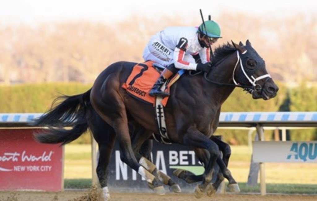 يُونس بنّ علي آل نمر🐎. tweet media