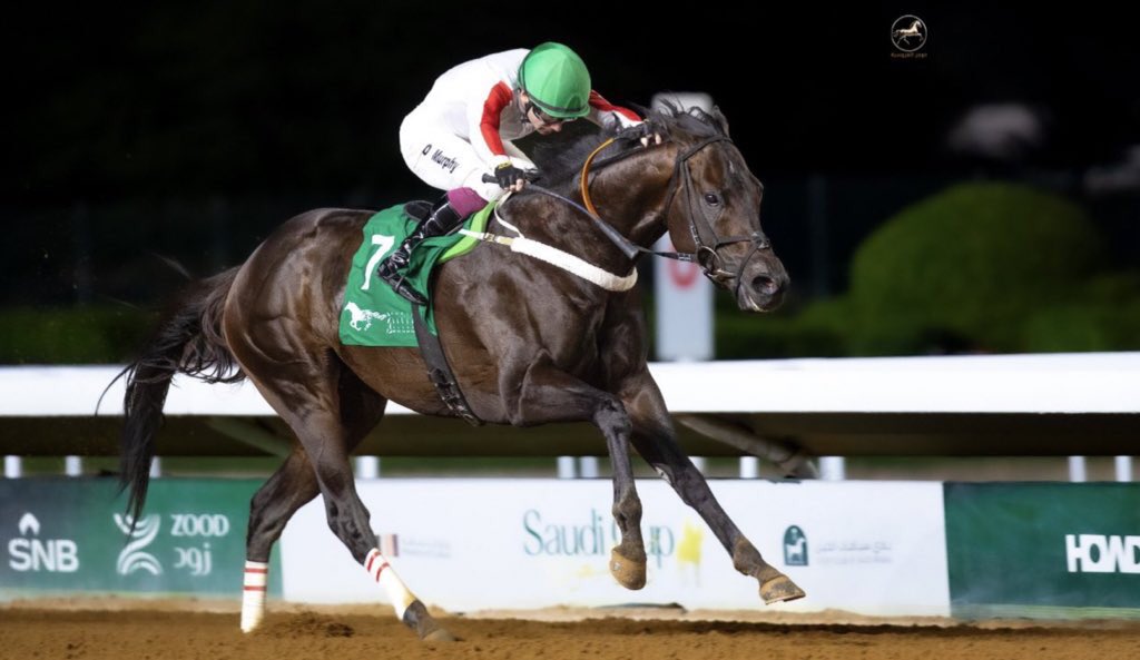 يُونس بنّ علي آل نمر🐎. tweet media