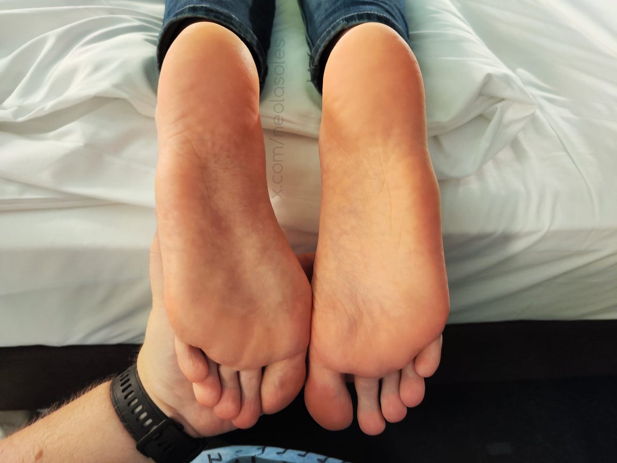 Neolasoles tweet media